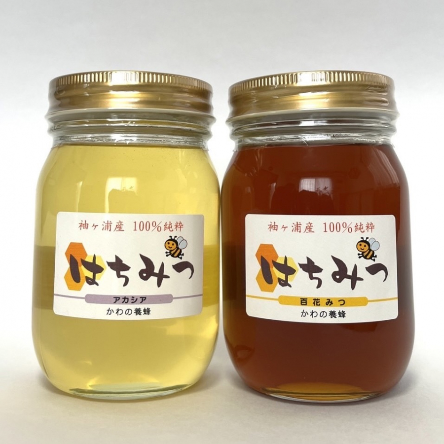 かわの養蜂の様子