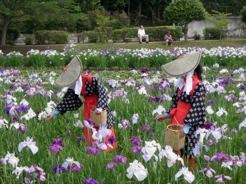 袖ケ浦公園の様子
