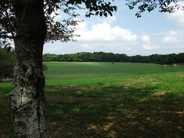 DSCF1789.JPG