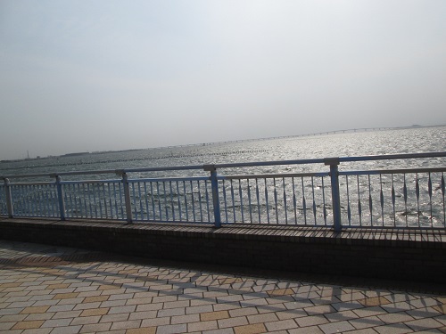 袖ケ浦海浜公園の画像2