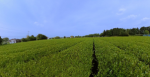 image011.png