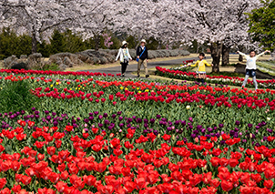 「花の散歩道」