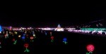 東京ドイツ村チャイナランタン.png